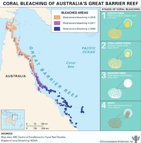 A map of coral bleaching along Australia's Great Barrier Reef